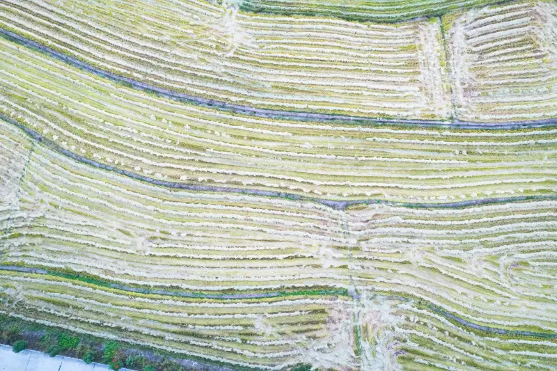 工控主板定制开发流程与硬件选型要点解析