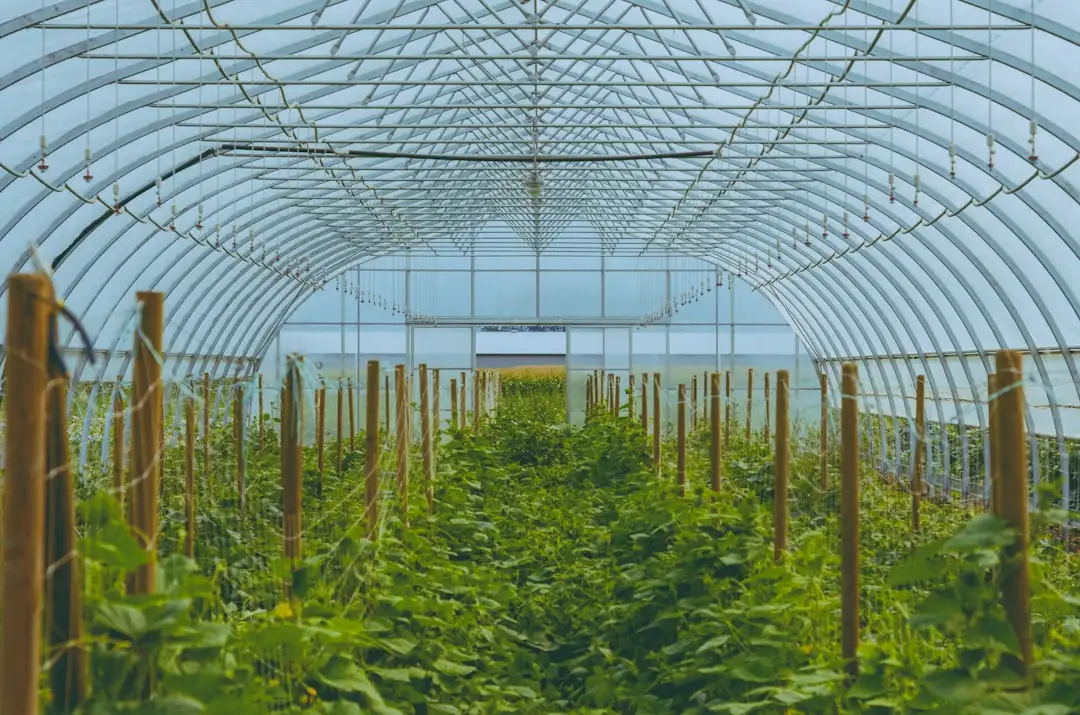 嵌入式工控主板电路设计要点与抗干扰技术解析